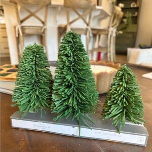 Threshold Green Bottlebrush Tree Trio